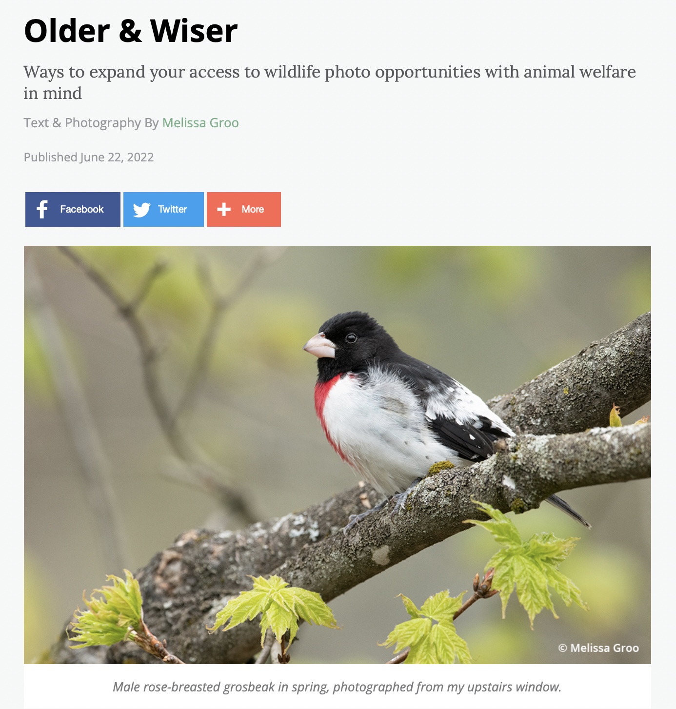 Latest Outdoor Photographer magazine column: Older and Wiser; Ethical Wildlife Photo Opportunities