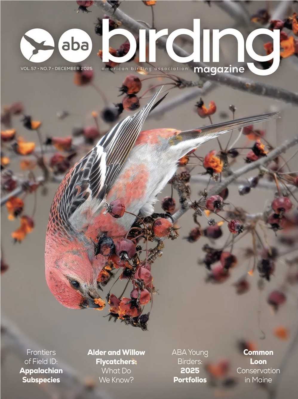 Birding Magazine