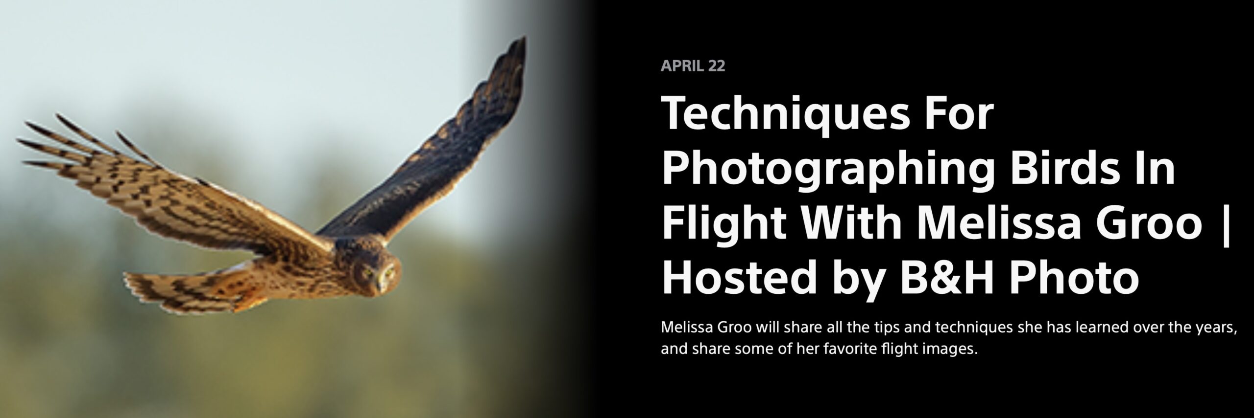 B&H Photography Podcast: The Ethics of Wildlife Photography with Melissa Groo & Bobby Stormer